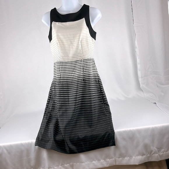 The Limited Dresses & Skirts - The Limited Polka Dot Mini Dress Back Zip Sleeveless Black Cream Size 0